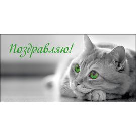 Конверты для денег, Поздравляю! (кошка с зелеными глазами), 10 шт. - Артикул: 43604 На каждый день Дон Баллон